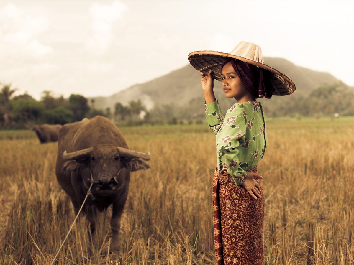 Thailands junger Pionier im Aktienhandel: Ein Einzelkämpfer auf dem Weg zur finanziellen Freiheit