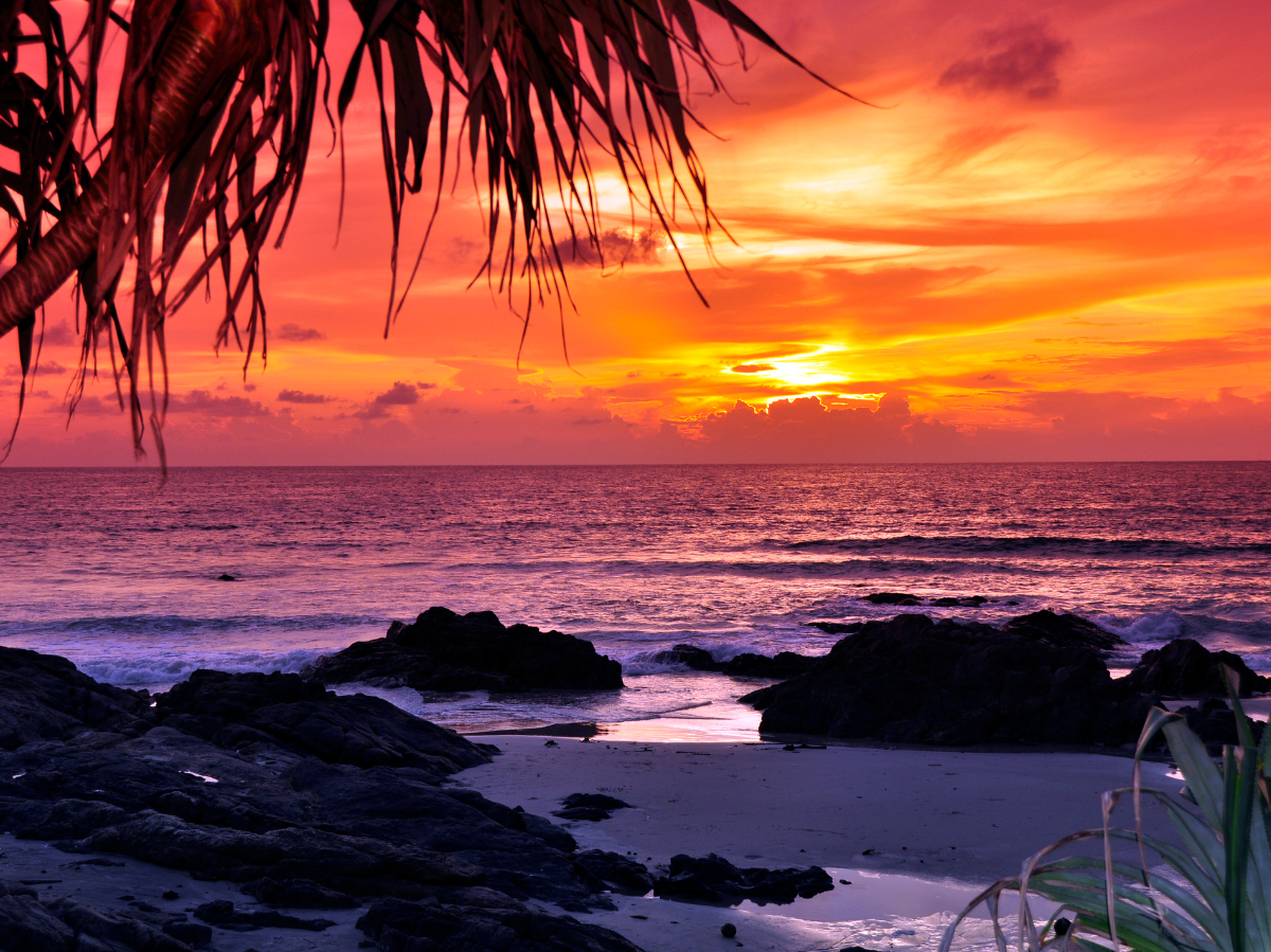 Finance & IT นักศึกษาสหกิจศึกษา